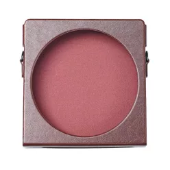 FiiO SK-DM15 (Nest) védőtok Barna